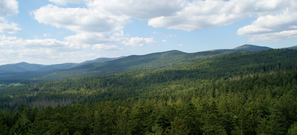 Panorama_Rachel_Lusen