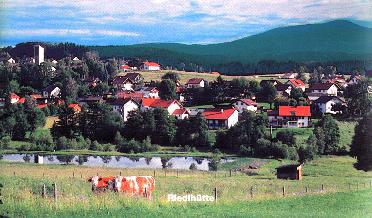 Riedlhütte