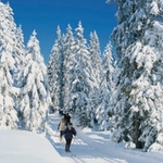 Langlauf