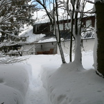 Biergarten